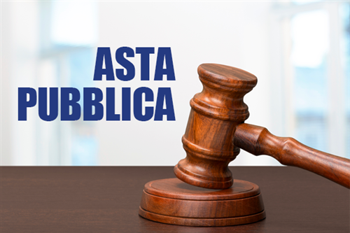 Asta pubblica per la vendita di n. 2 autoveicoli di proprietà dell'Ente