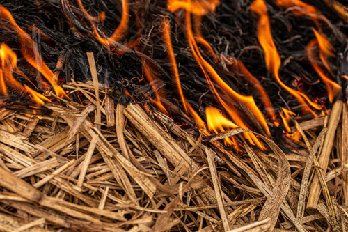Divieto di combustione materiali vegetali